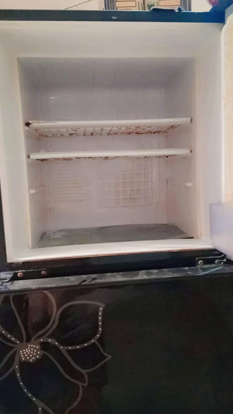 orient refrigerator 5