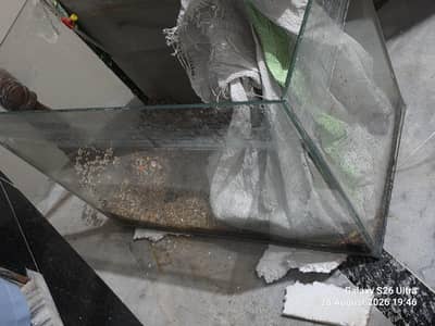 Aquarium 2 ft x 1.5 ft x 1 ft Glass Tank