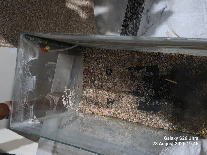 Aquarium 2 ft x 1.5 ft x 1 ft Glass Tank — photo 2
