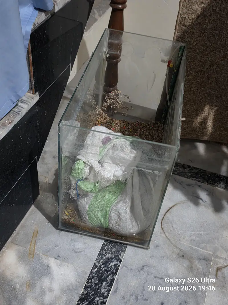Aquarium 2 ft x 1.5 ft x 1 ft Glass Tank — photo 3