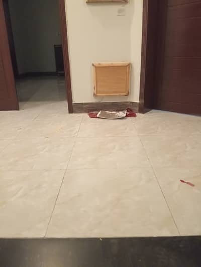 10marla 6beds DD TV lounge kitchen attached baths like brand new house for rent in G 13 1 islamabad
