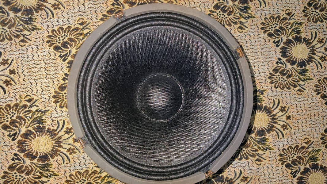 speaker 0