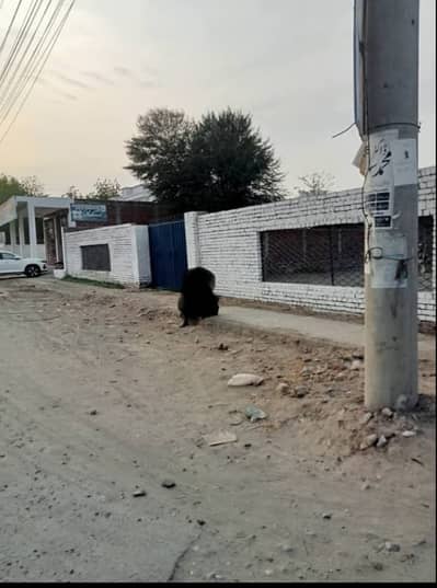 Commercial plot for sale