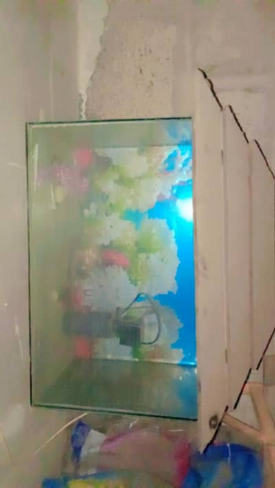 Fish aquarium _ Good condition