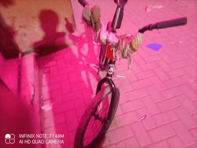 race cycle new tyre garri veld