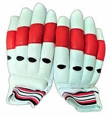 Cricket pads and gloves