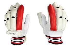 Cricket pads and gloves pair