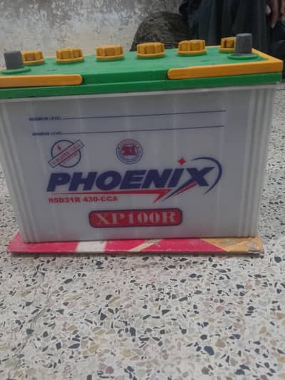 phoenix bettre xp100r hay