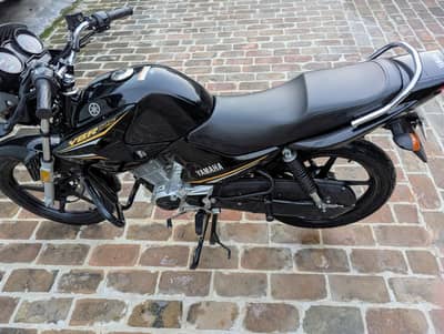 Yamaha YBR 2023