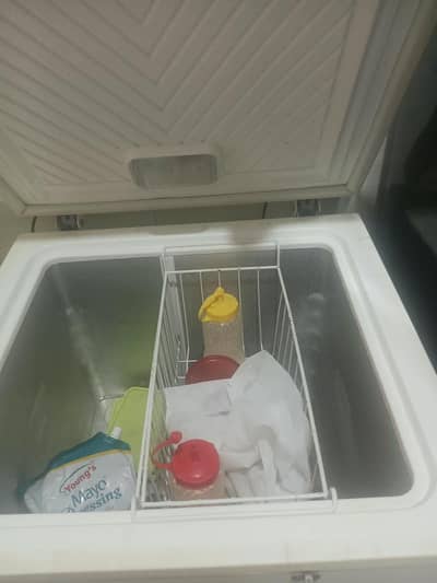 waves single door freezer