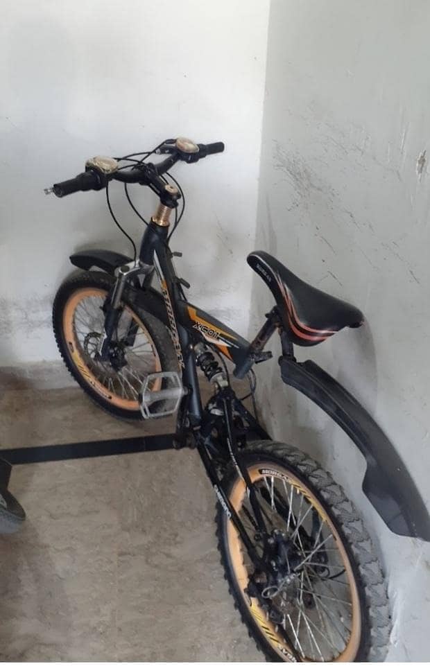 cycle 0