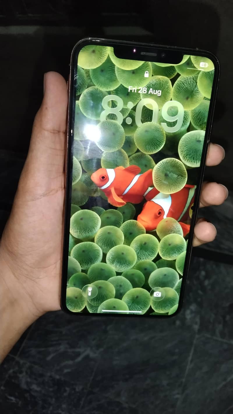 Apple iPhone 11 Pro Max 3