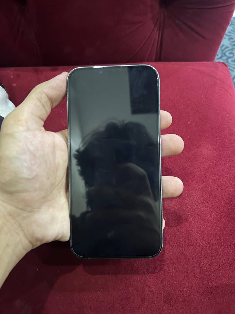 Apple iPhone 13 Pro Max 1