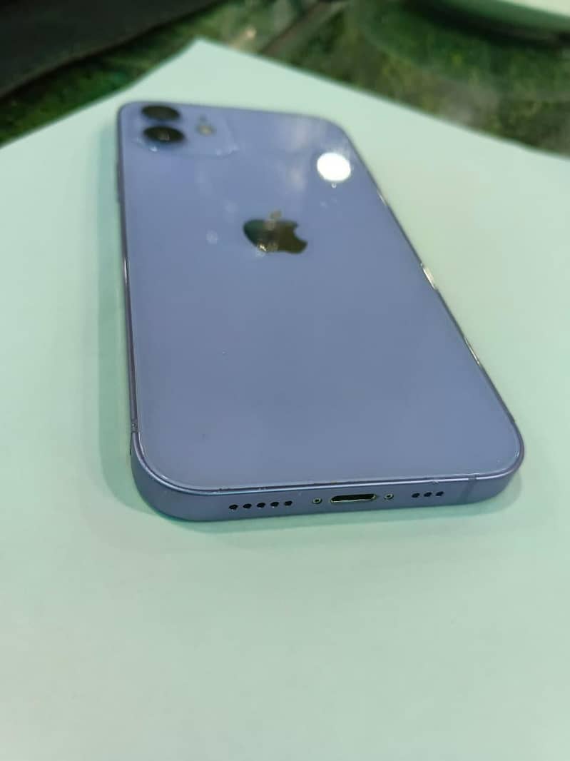 Apple iPhone 12 1