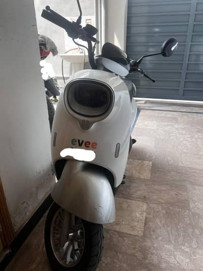 EVE NISA FOR SALE