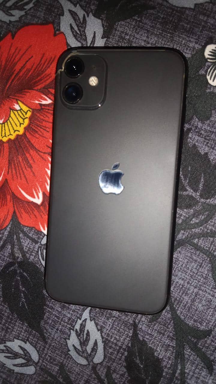 Apple iPhone 11 0