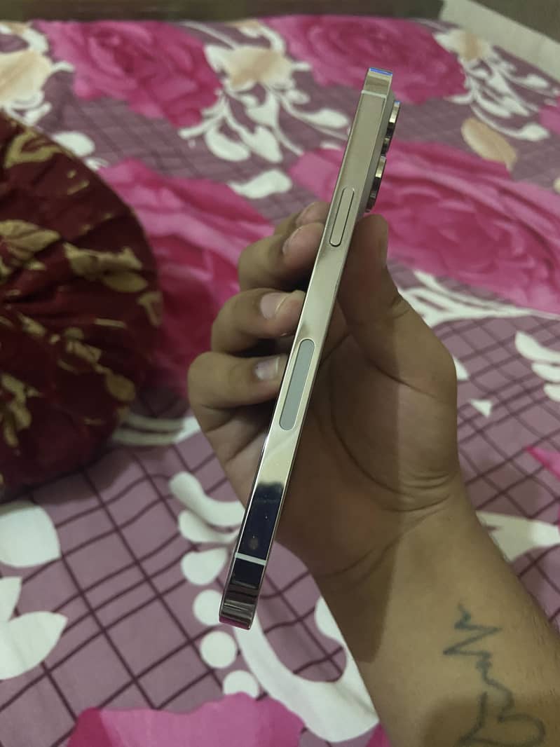 Apple iPhone 14 Pro Max 2