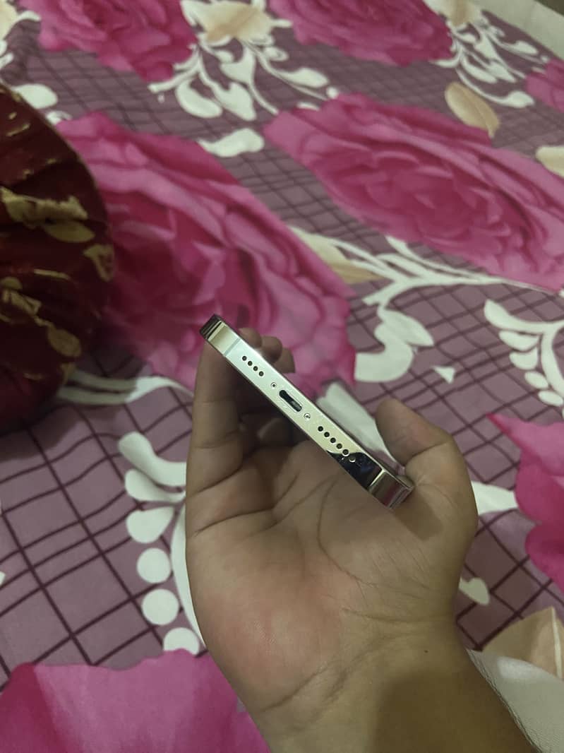Apple iPhone 14 Pro Max 5
