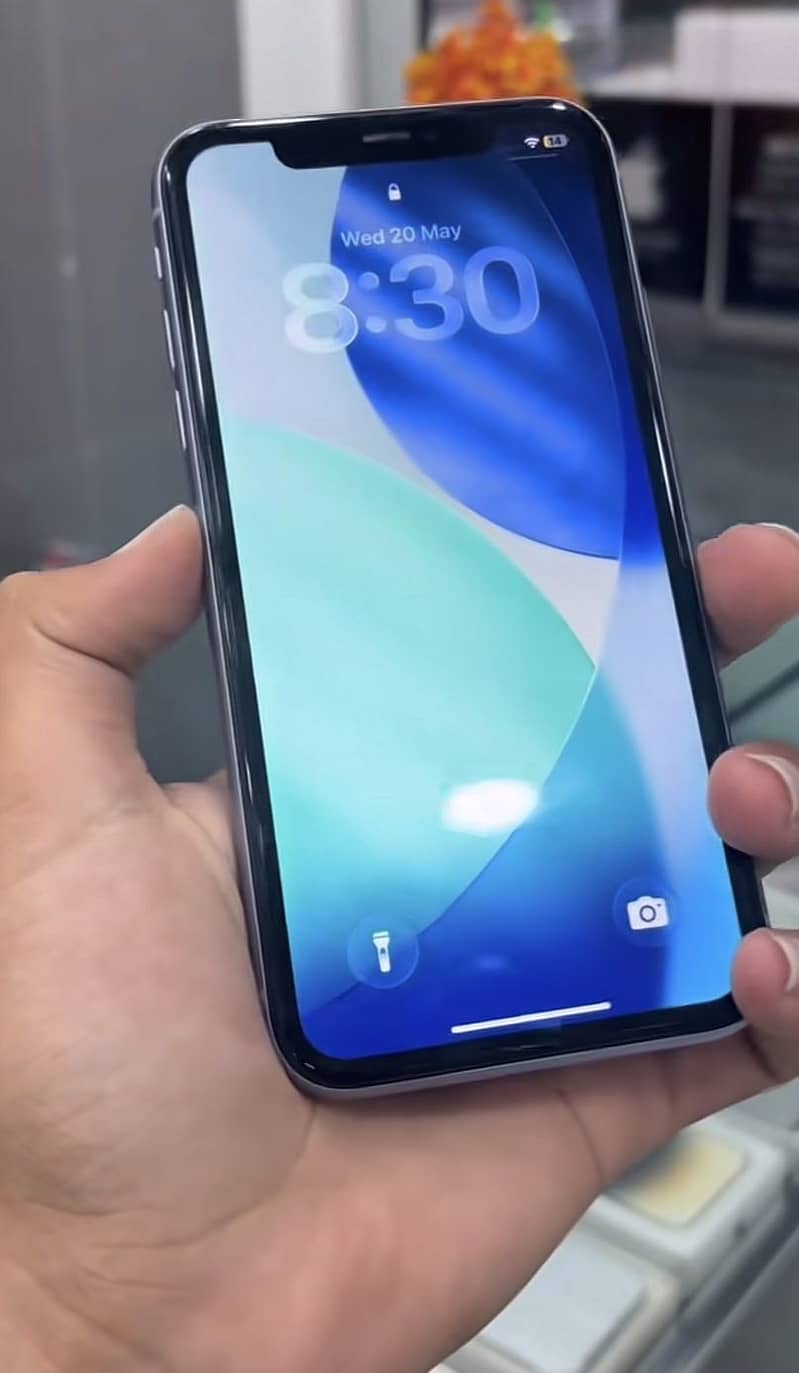 Apple iPhone 11 0
