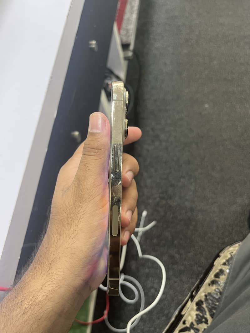 13pro 1