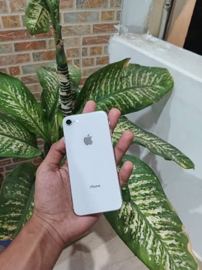 Apple iPhone 8