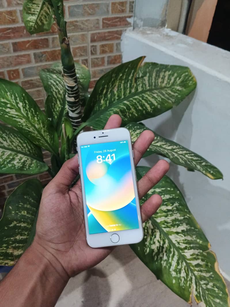Apple iPhone 8 1