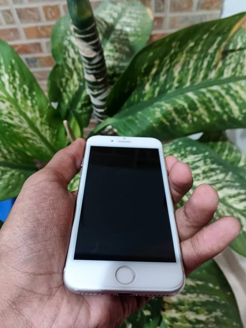 Apple iPhone 8 2