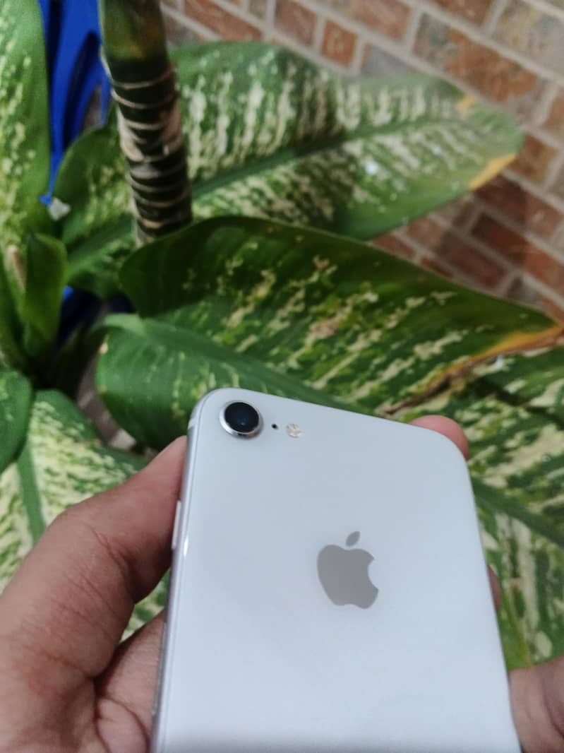 Apple iPhone 8 3