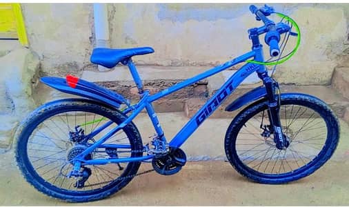 Giant company bicycle for sale best condition silver colour 2 motor ga