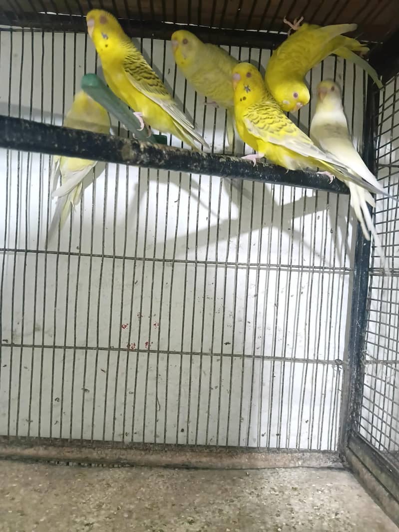 offer 2