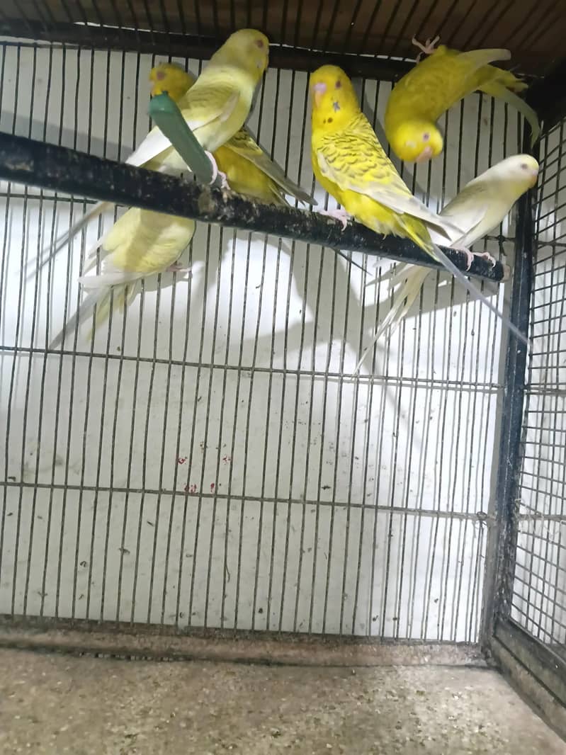 offer 3