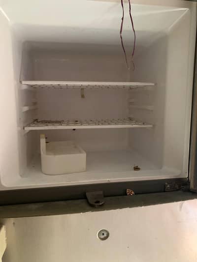 Haier fridge in budget
