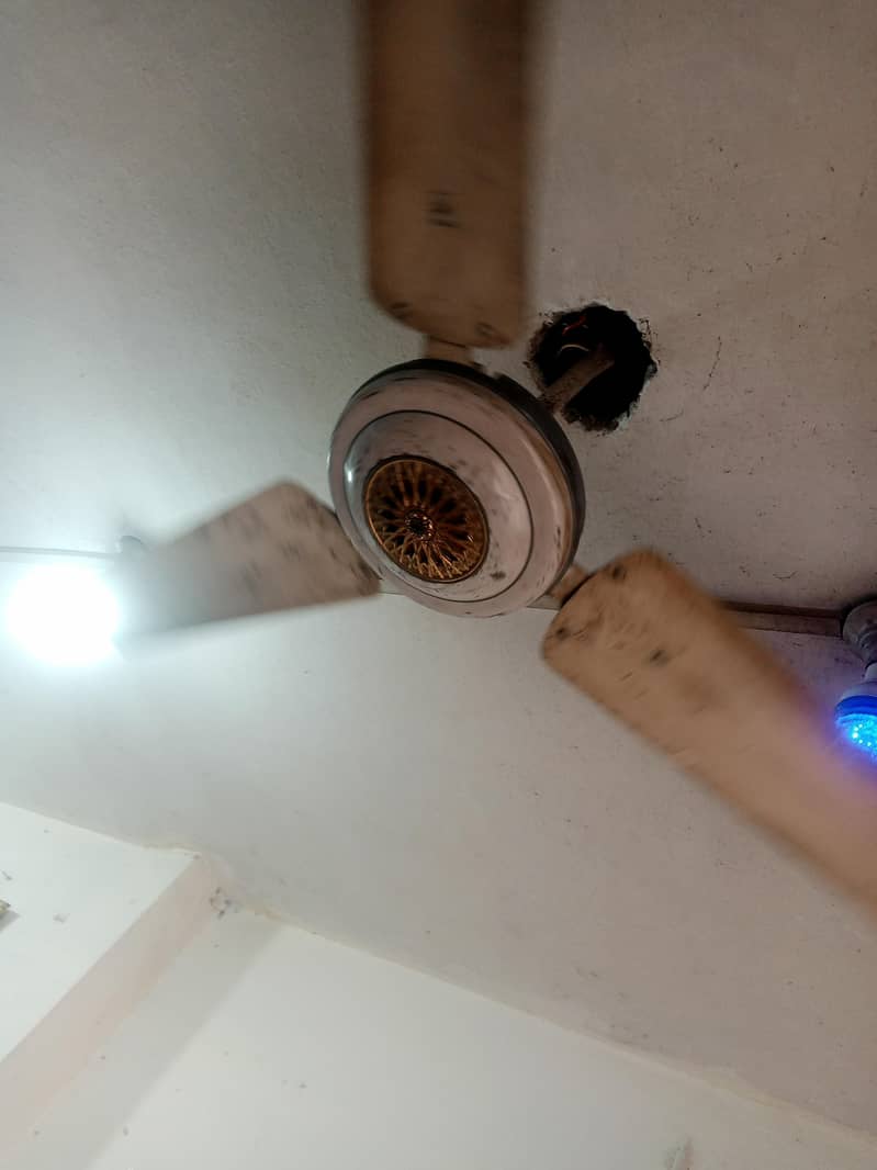 56inch fan 2