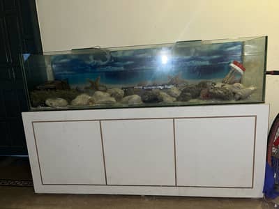 Aquarium