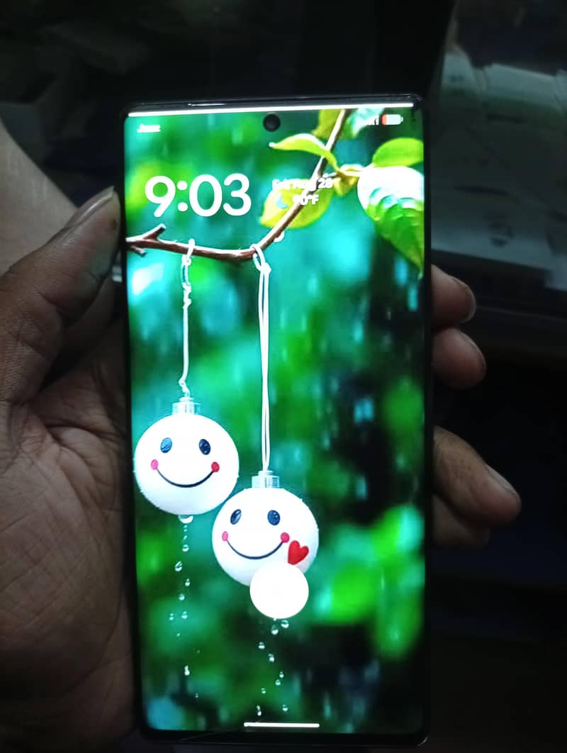 Google Pixel 6 Pro 1