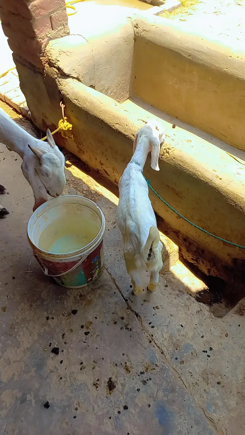 For sale bakri sath path price final he — photo 5