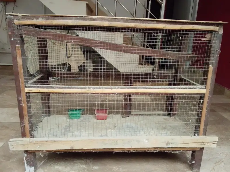 wood cage — photo 4