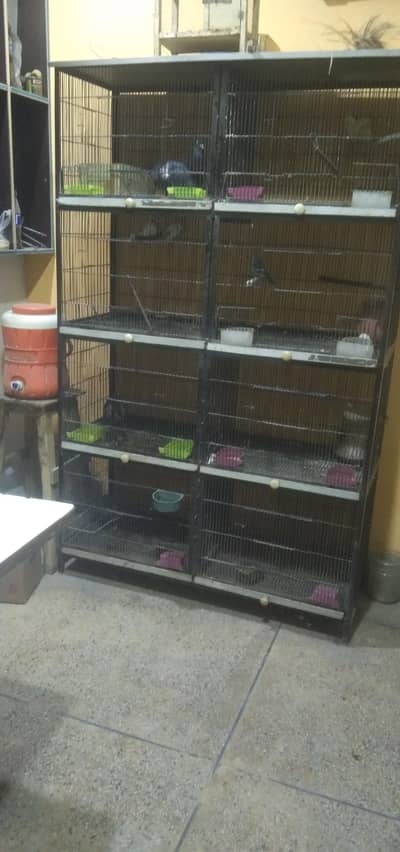 cage for sale