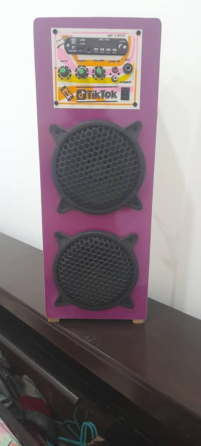 Dj system speaker