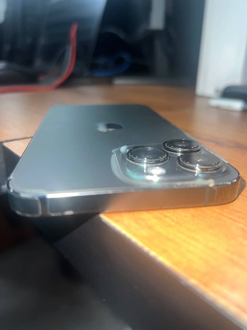 Apple iPhone 13 Pro Max 9