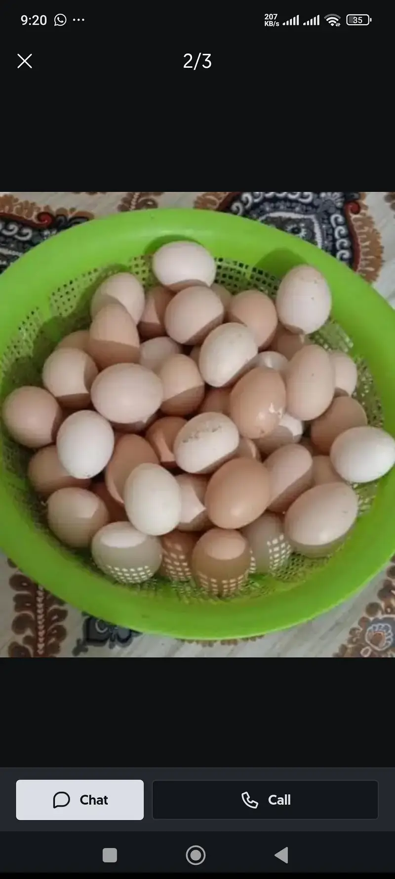 pure desi eags avilebel — photo 3