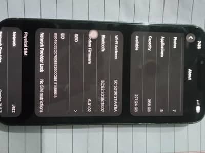 Apple iPhone 13 Pro Max 256 gb sim glitch