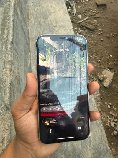 Apple iPhone 12 Pro Max