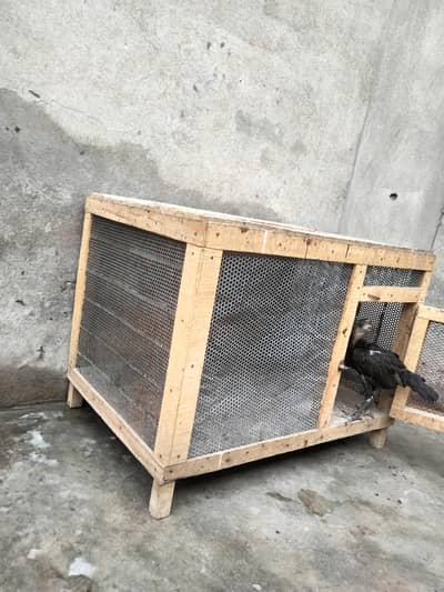 hen cage for sale
