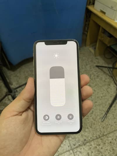 Apple iPhone X