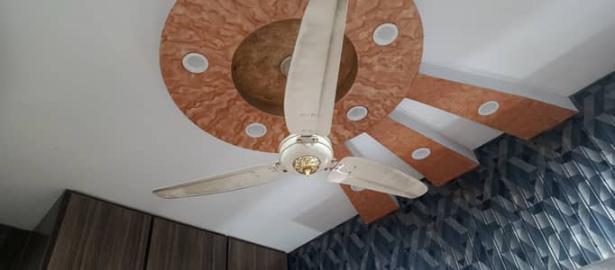 Royal fan brand