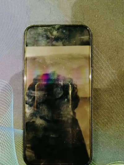 Apple iPhone 15 Pro Max Factory unlocked 91 battery health 10by10