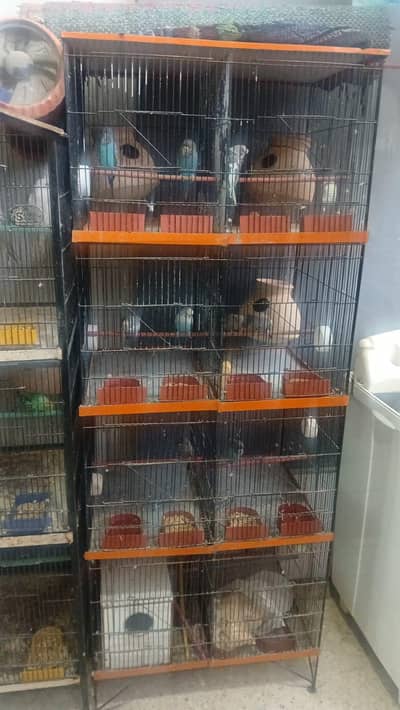 8 Portion cage