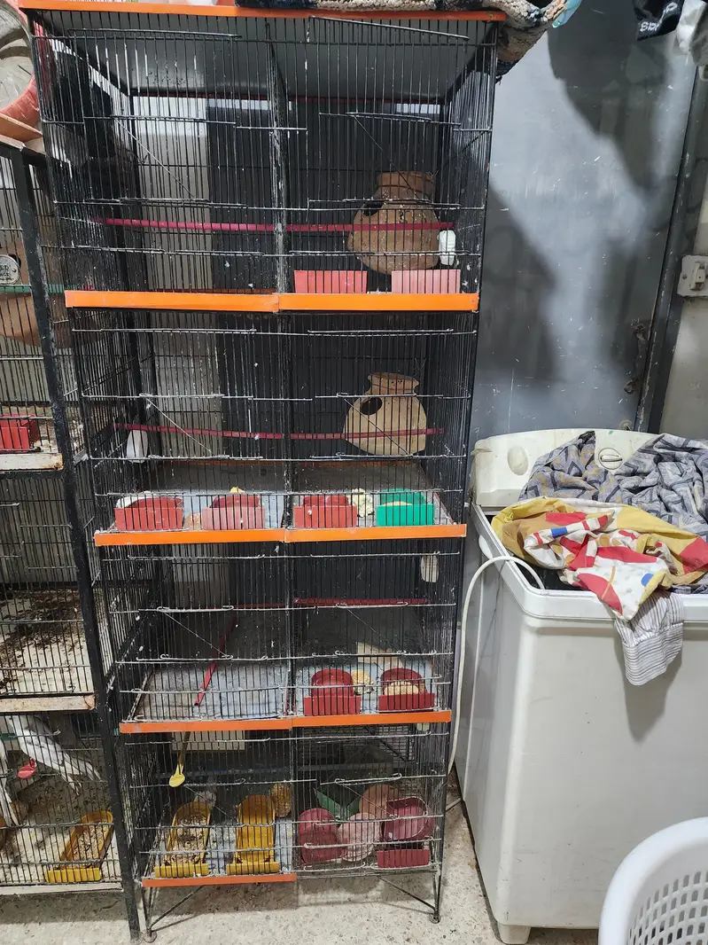 8 Portion cage — photo 2