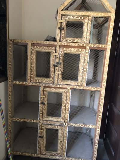Birds cage